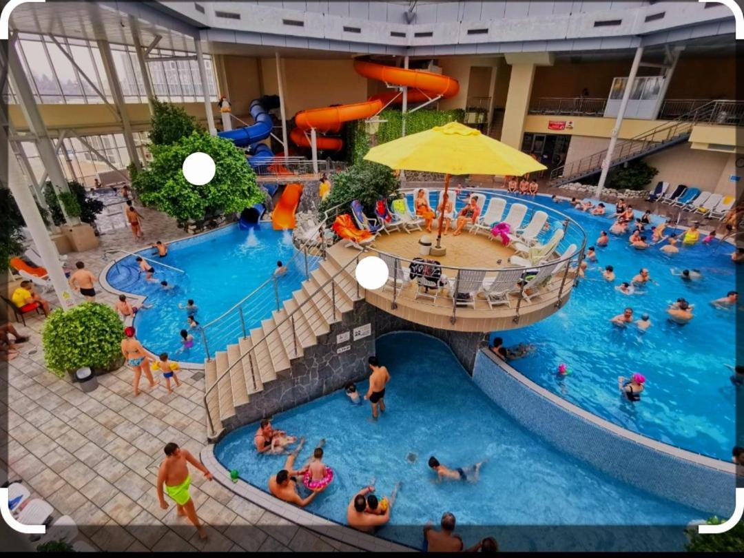 Pensiunea Ober Braşov Dış mekan fotoğraf
